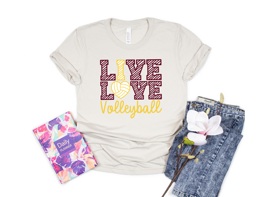 Live Love Volleyball HTV Transfer